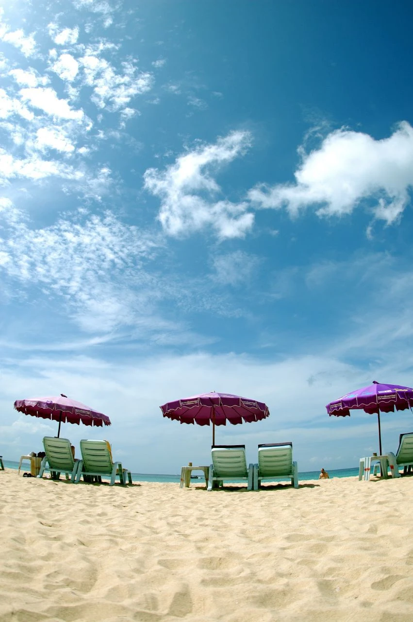 Beach with Purple Umbrellas