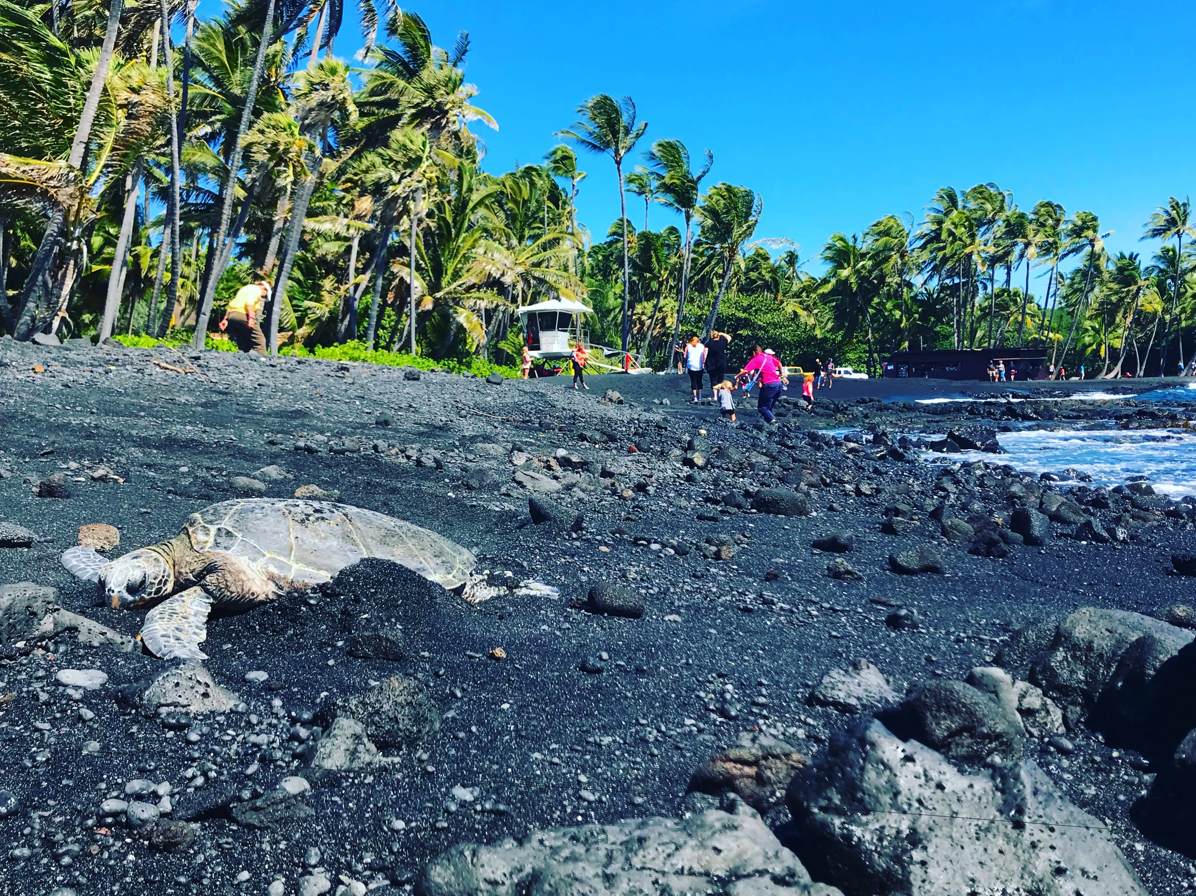 Hawaii Black Sand Beach