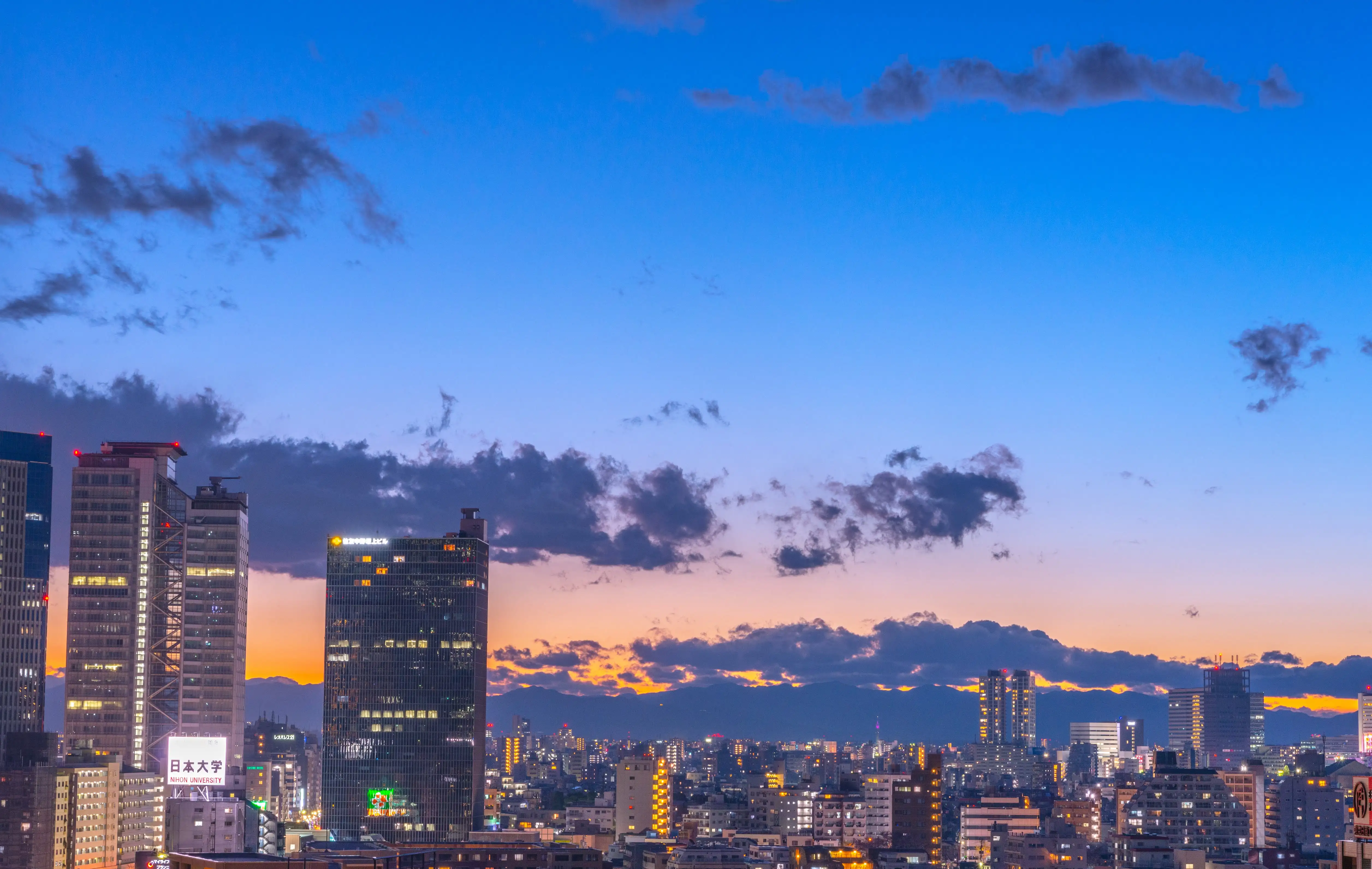 Tokyo Cityscape at Twilight
