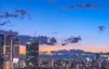 Tokyo Cityscape at Twilight