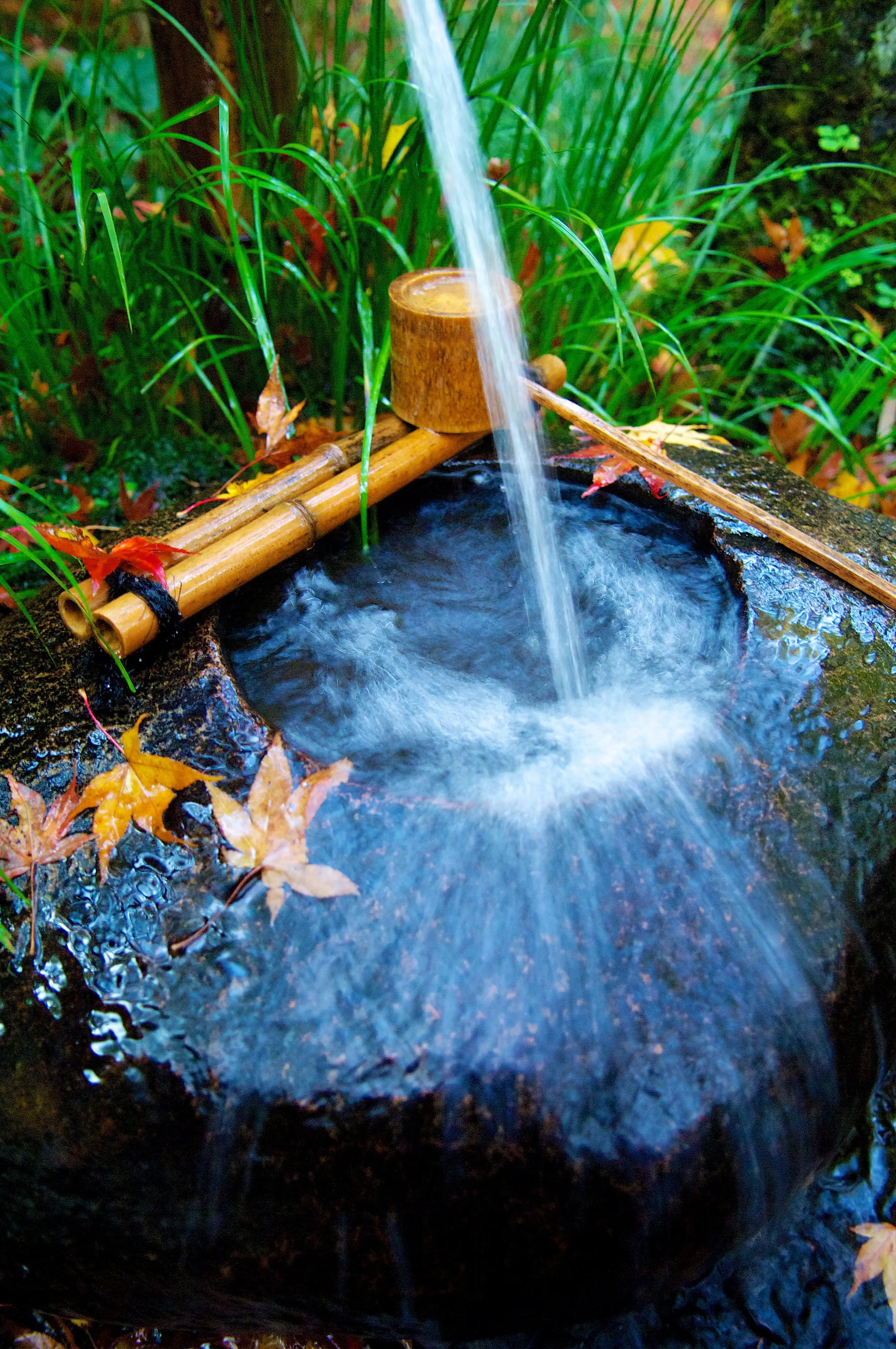 Tsukubai in a Japanese Garden