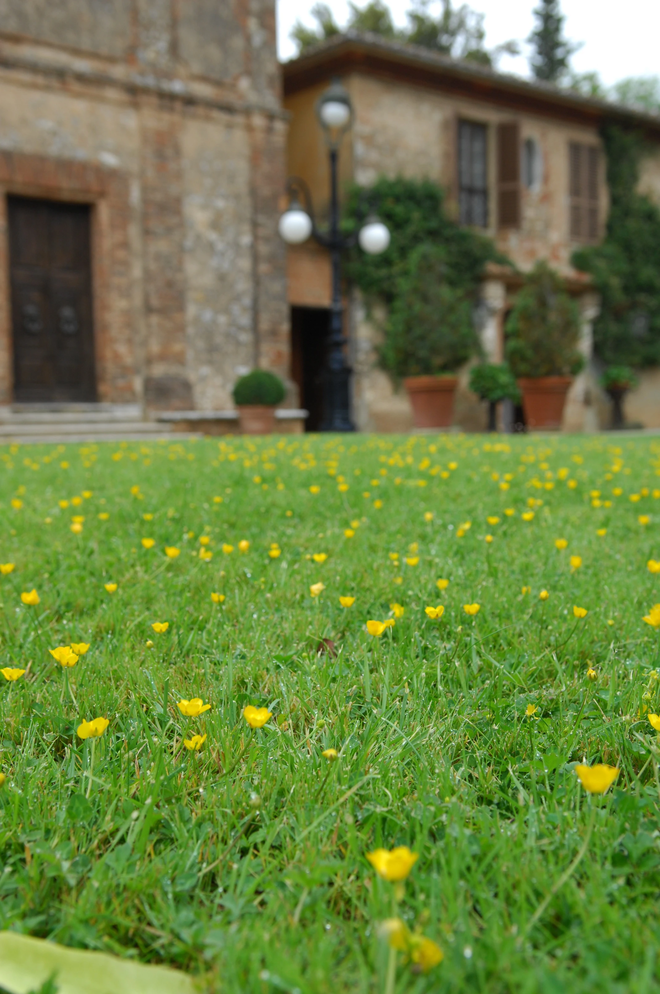 Italian Villa with Spring Flowers