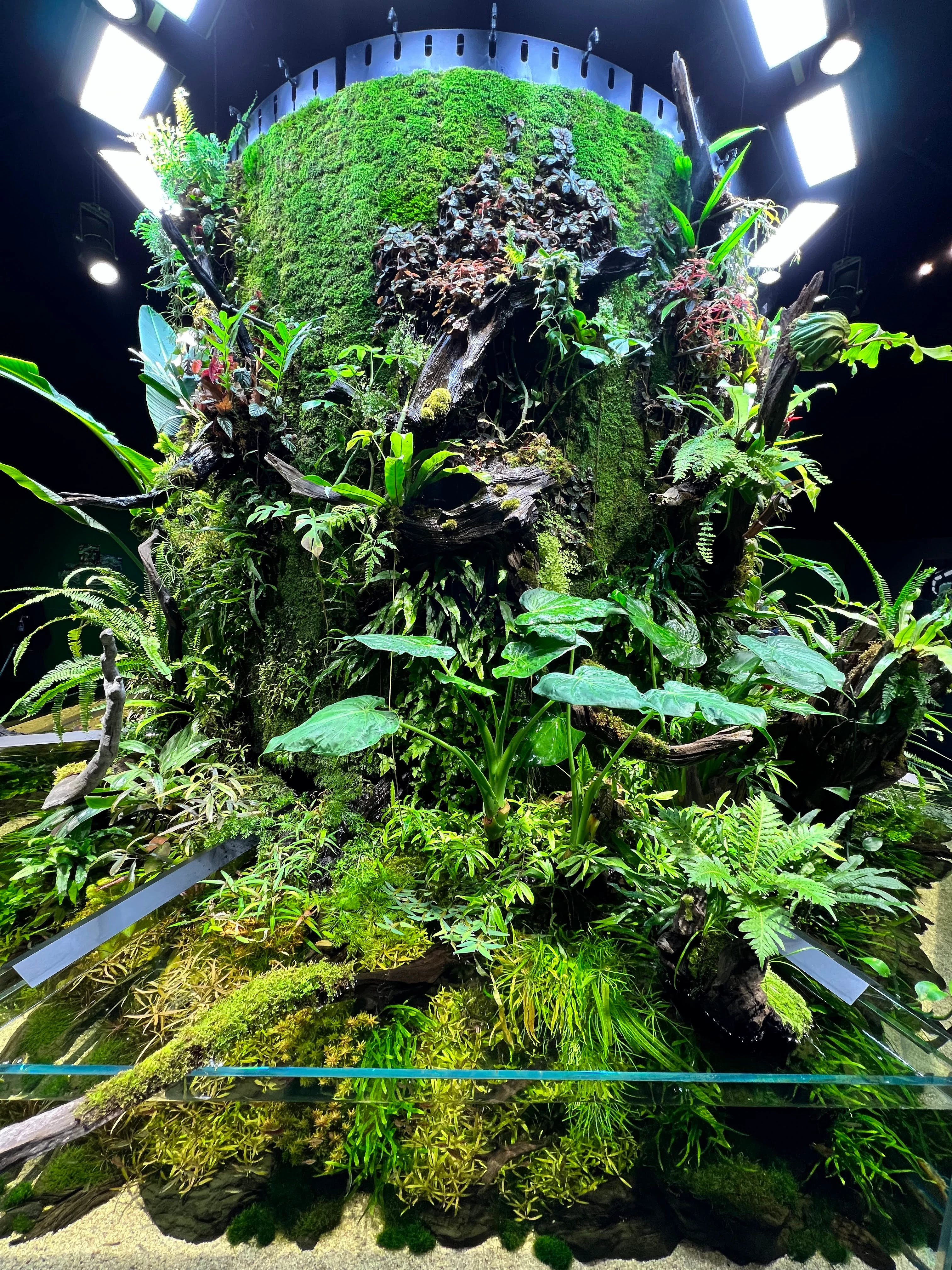 Aquarium Marine Creatures