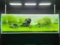 Aquarium Underwater Scene