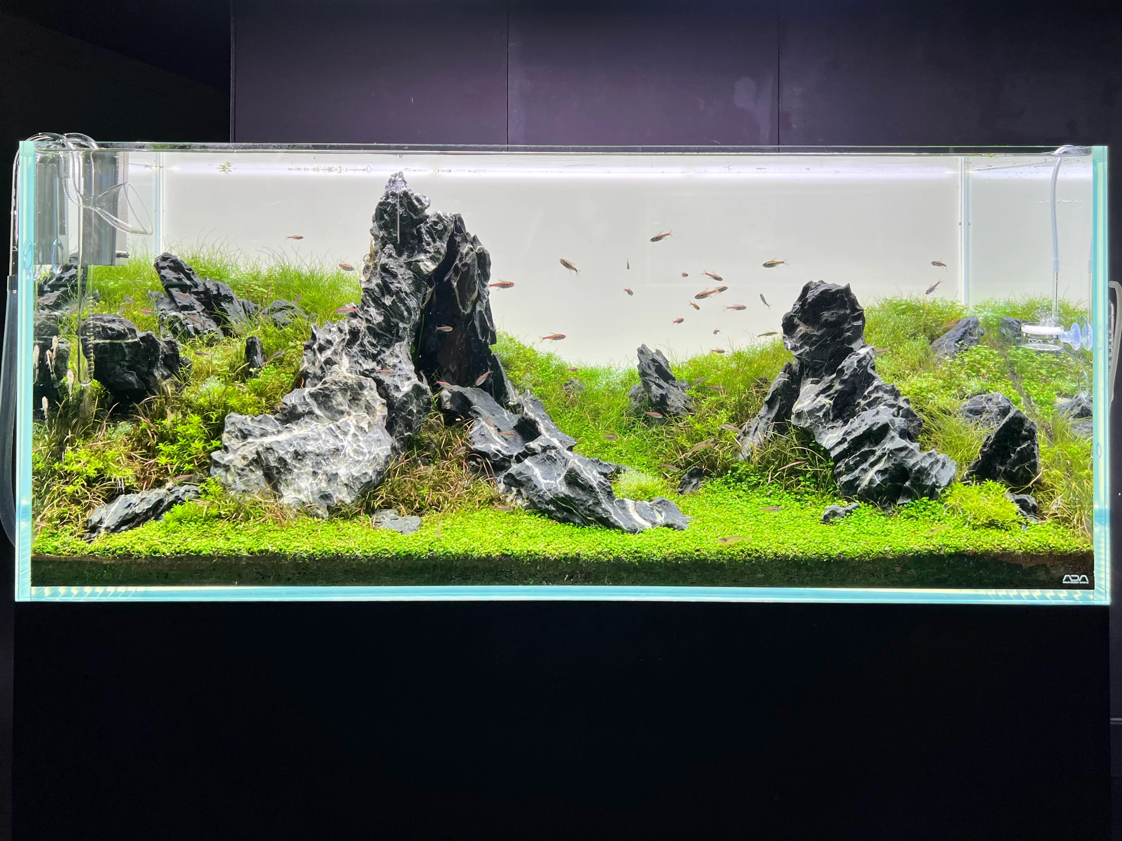 Aquarium Ocean View