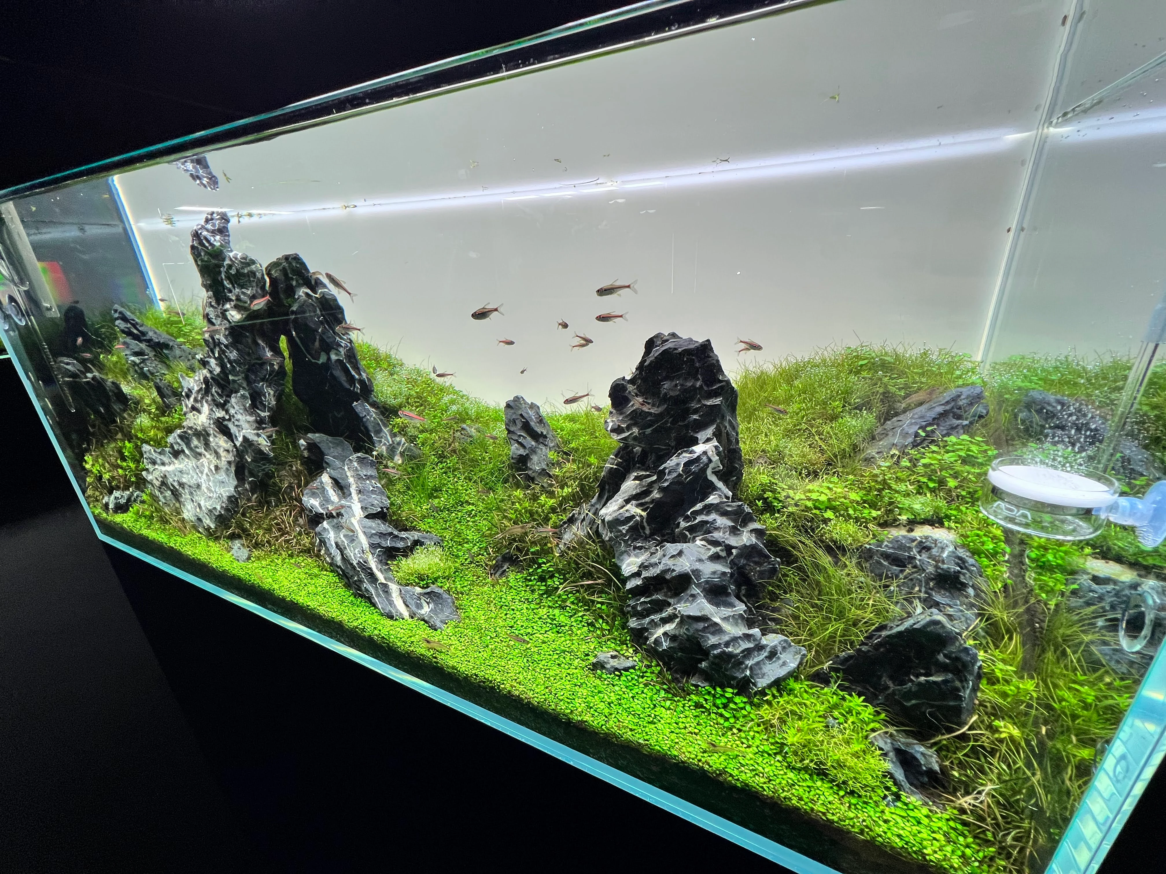 Aquarium