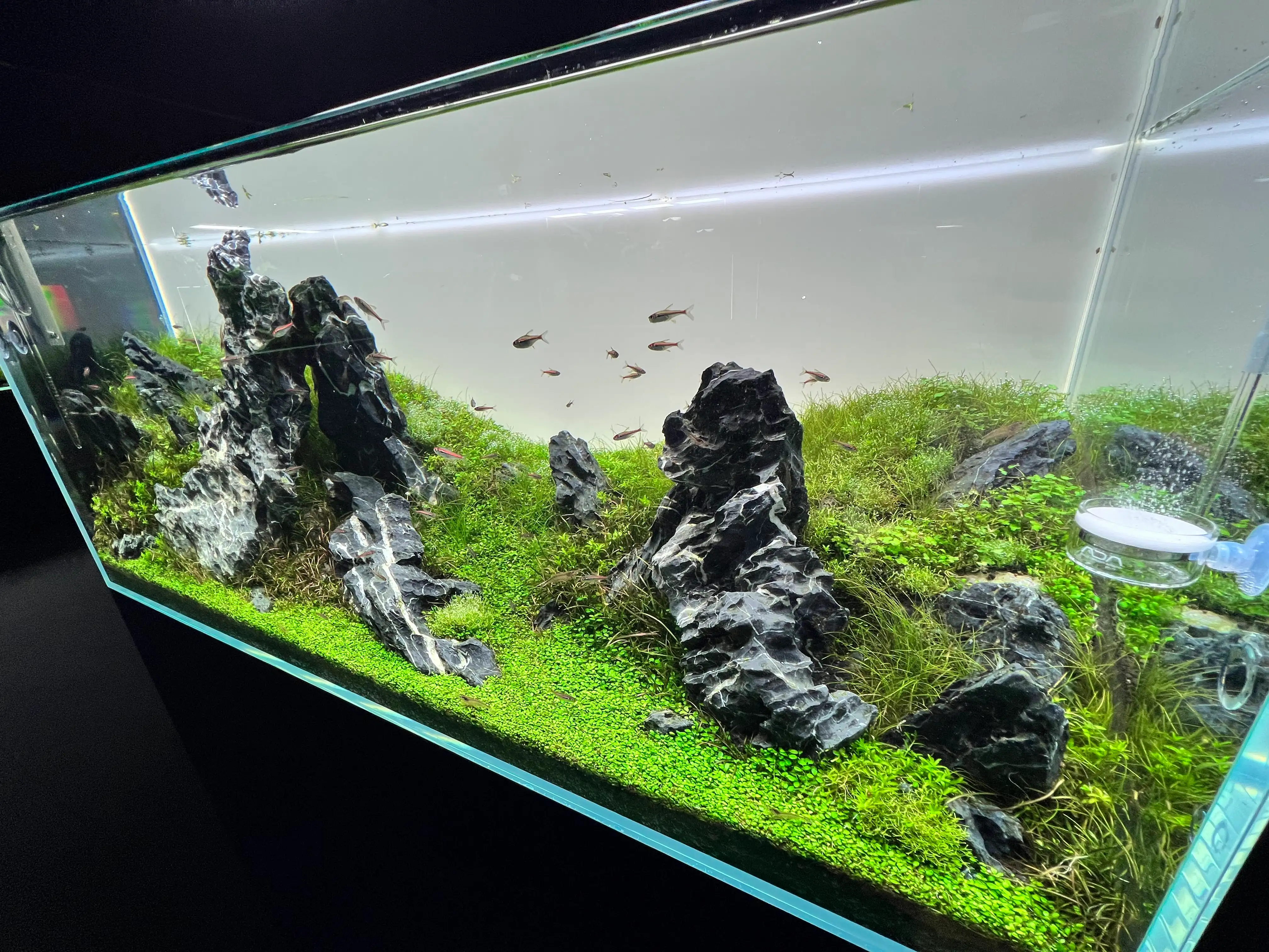 Aquarium