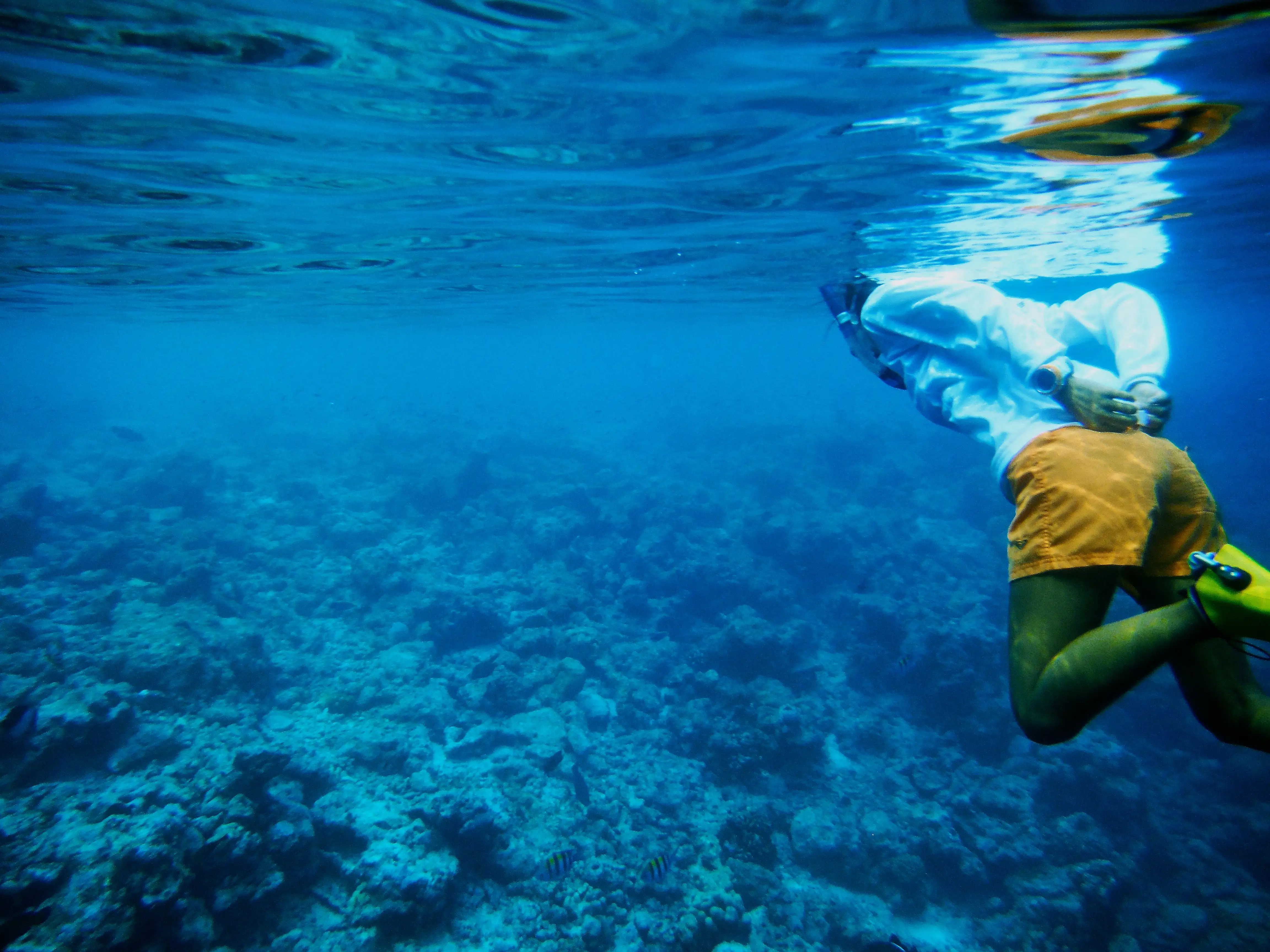 Snorkeling in Maldives